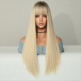 thumbnail image 5 of Peluca de Cosplay Gris LáPiz Degradado de 69 cm Europa y Peluca Que Cubre la Cabeza de Color Degradado de Pelo y Liso, 5 of 5