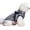 Sliver Grey, variant on BT Bear Pet Clothes, Dog Vest Jacket Waterproof Coat Harness Cold Weather Costume for Puppy Small Medium Dogs (S, Purple)