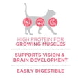 Purina ONE High Protein, Natural Dry Kitten Cat Food, +Plus Healthy