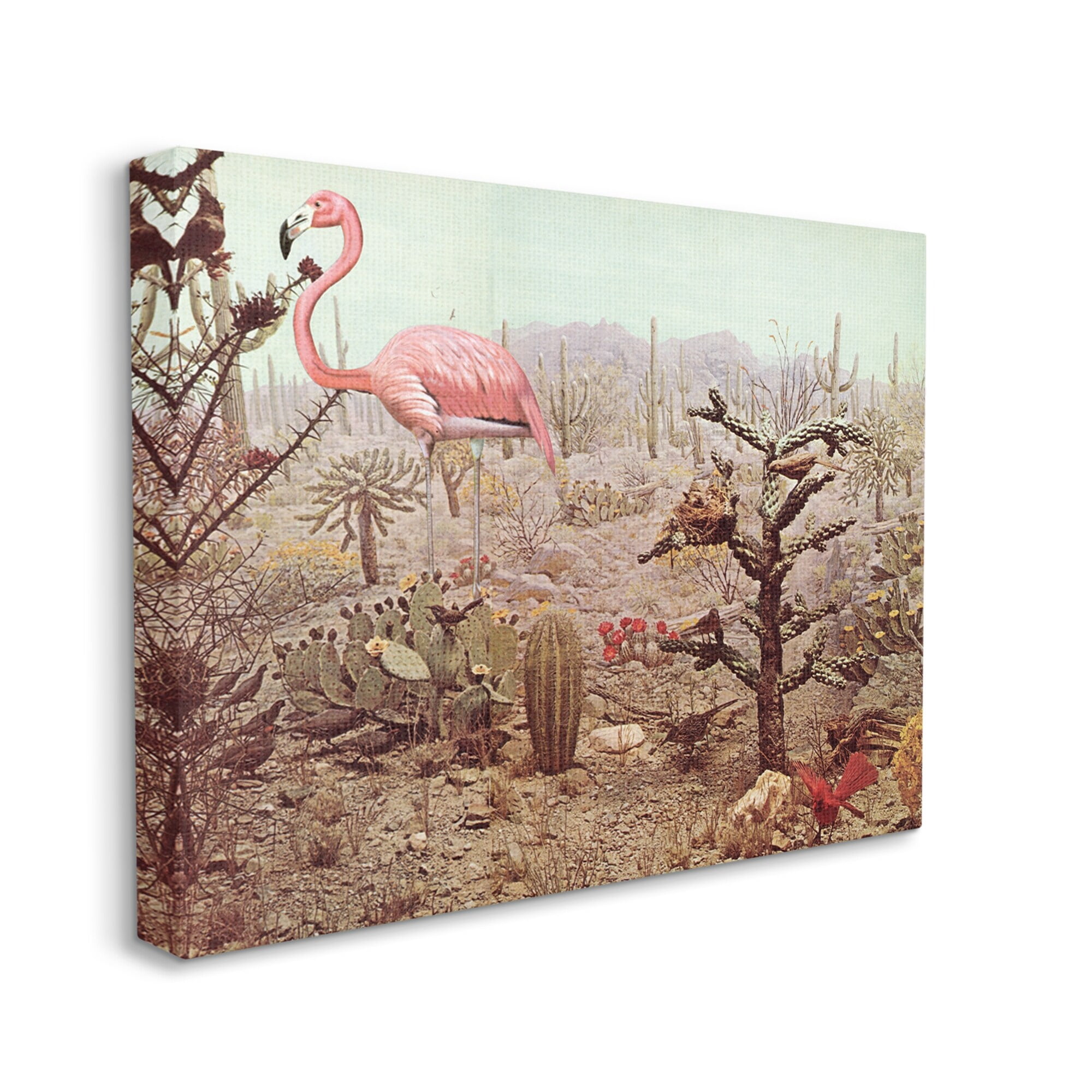 Stupell Industries Collaged Flamingo Desert Cactus Wildlife Scene Canvas Wall Art, 48 x 36, Design by Cassia Beck