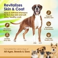 thumbnail image 3 of Oatmeal Dog Shampoo with Aloe Vera, Sensitive Skin Relief, Hypoallergenic, Pina Colada Scent, 16oz, 3 of 7
