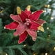 thumbnail image 4 of Árbol de Navidad Decoraciones Paño Simulación Flores 28 cm Rojo Rosa Blanco Azul Verde, Decoraciones de Navidad para el Regalo de Fiesta de Boda Del Hogar, 4 of 7