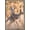 Barnwood Framed Version, variant on The Comedy Wildlife Photography Awards: Lara Mathews - Boing Wall Poster, 14.725" x 22.375"