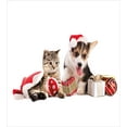 thumbnail image 3 of Ambesonne Christmas Duvet Cover Set, Dog Cat with Presents, 2-Calking, White Brown Red, 3 of 7