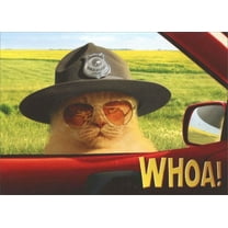 Avanti Press Trooper Cat Stand Out Pop-Up Birthday Card - Walmart.com