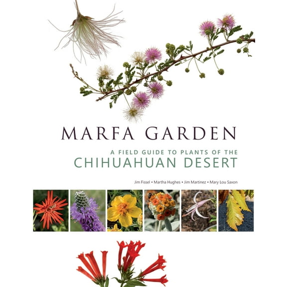 Marfa Garden: A Field Guide to Plants of the Chihuahuan Desert, (Paperback)