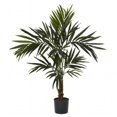 thumbnail image 1 of 5 in. Kentia Silk Tree, 1 of 1