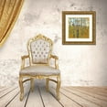 thumbnail image 3 of Joy, Julie 12x12 Gold Ornate Wood Framed with Double Matting Museum Art Print Titled - Thicket on the Hill II, 3 of 4