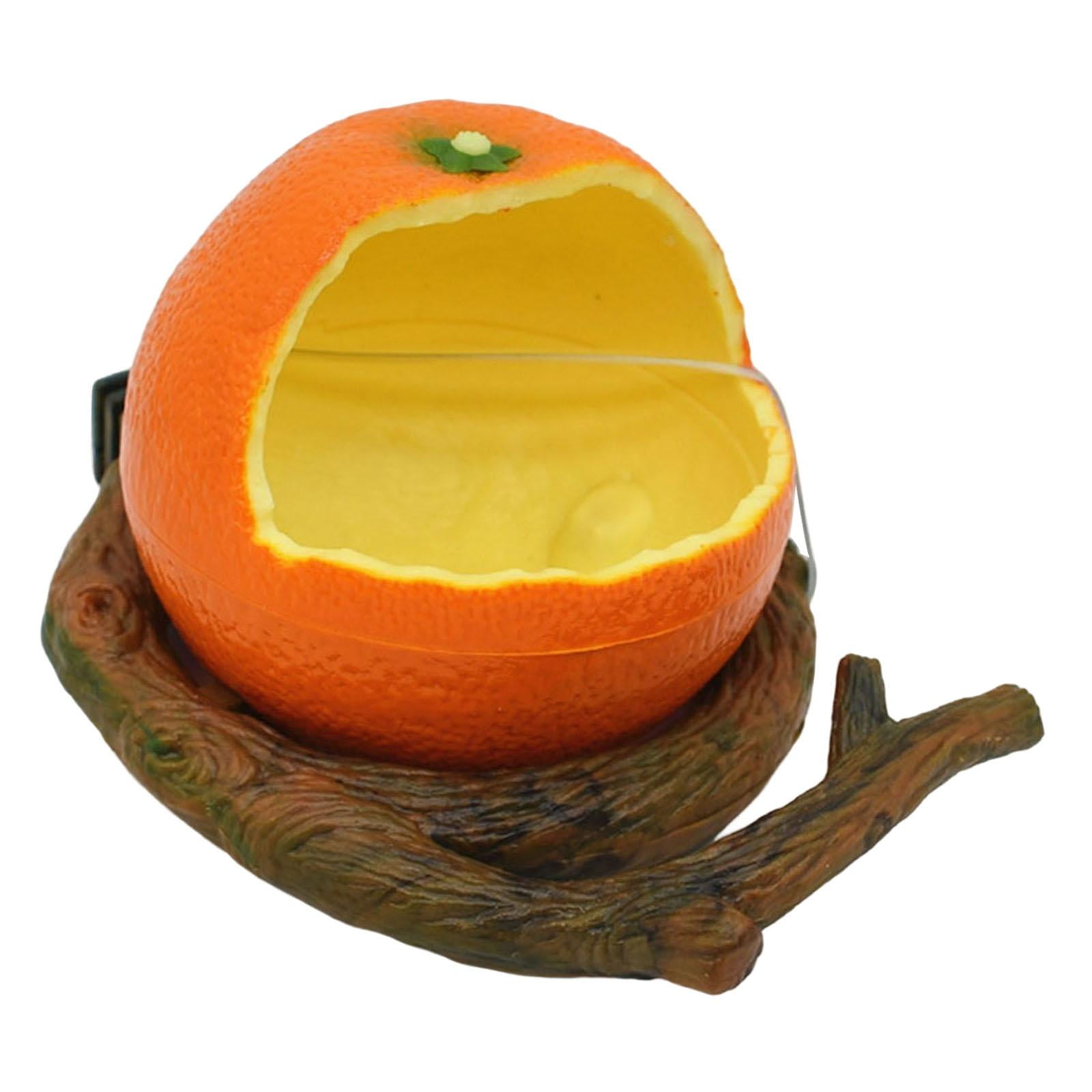 Novelty Fruit Shaped Bird Feeder Bowl Parrot Feeding Box Bird Food