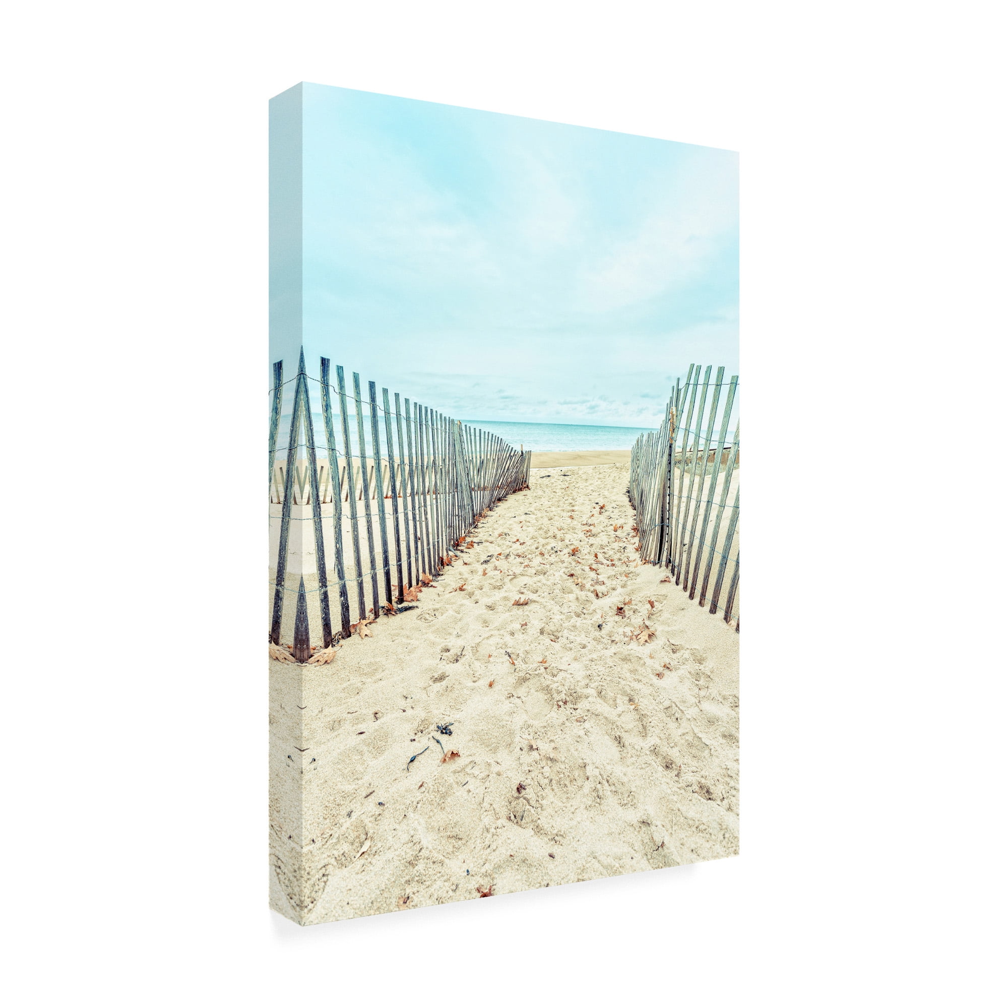Trademark Fine Art 'Within Reach' Canvas Art by Edward M. Fieldin