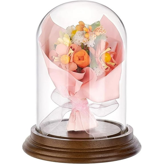 4.2" x 5.5" Glass Display Dome Cloche Clear Bell Jar Display Case Glass Dome Tabletop Centerpiece with Solid Wood Base for DIY Snow Globes Flowers Plants Birthday Home Decor Deep Brown