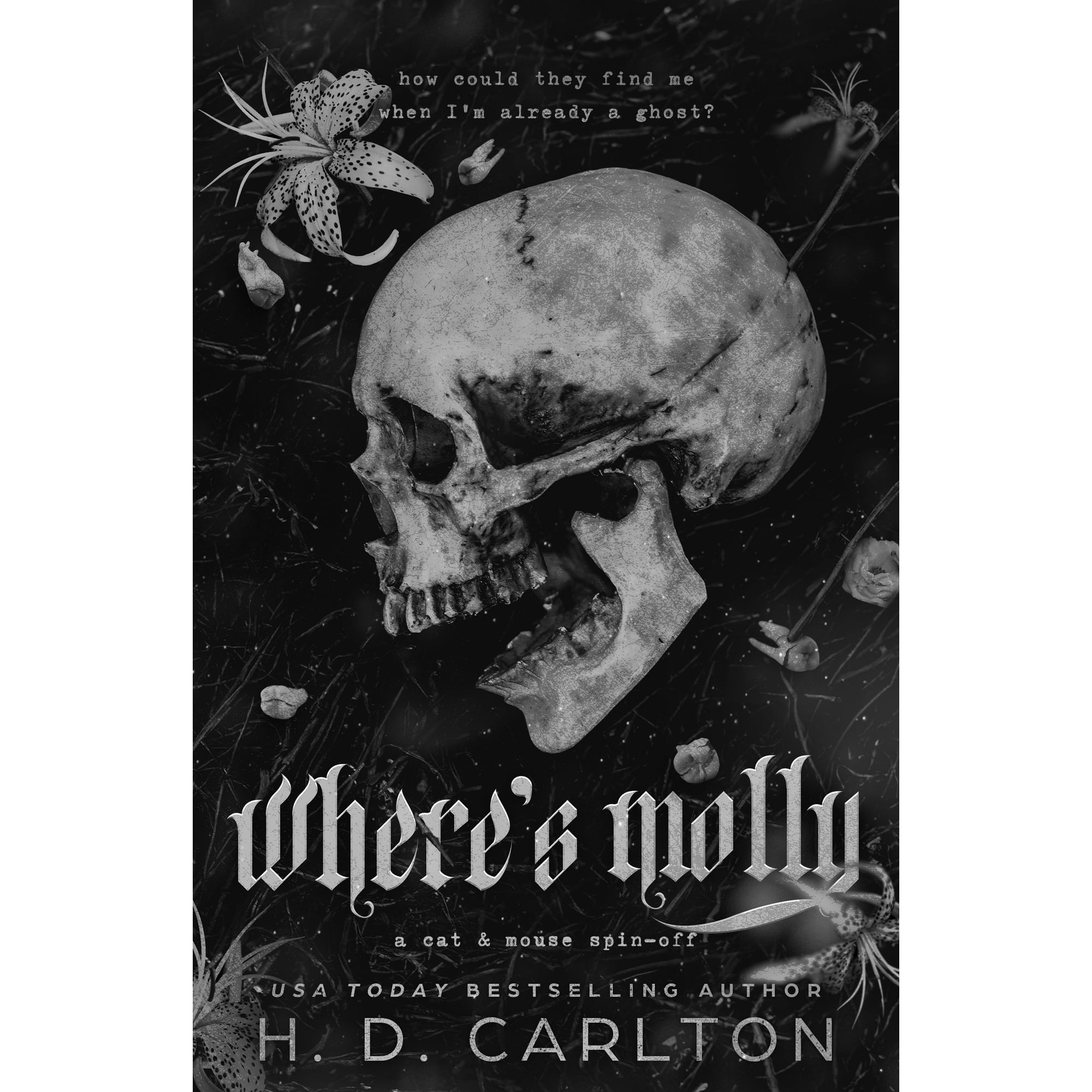 Where's Molly: A Cat and Mouse Spin-Off (Paperback)