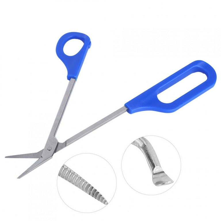 BEZOX Nail Scissors with Sharp Curved Blade - Nail Maintenance Toenail and  Fingernail Scissor with Ergonomic Design for Men & Women