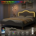 thumbnail image 3 of Queen Size Upholstered LED Bed Frame with Adjustable Headboard and Footboard, Velvet Princess Platform Bedframe for Kids/Girls, Wooden Slats Support, No Box Spring Needed, Easy Assembly, Gray, 3 of 9