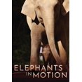 thumbnail image 1 of Elephants In Motion, 1 of 1