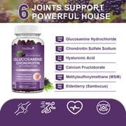(2 Pack) Mulittea Glucosamine Chondroitin Gummies with MSM & Elderberry for Mobility & Flexibility, Joint Support, Dietary Supplement for Adults, 120 Gummies