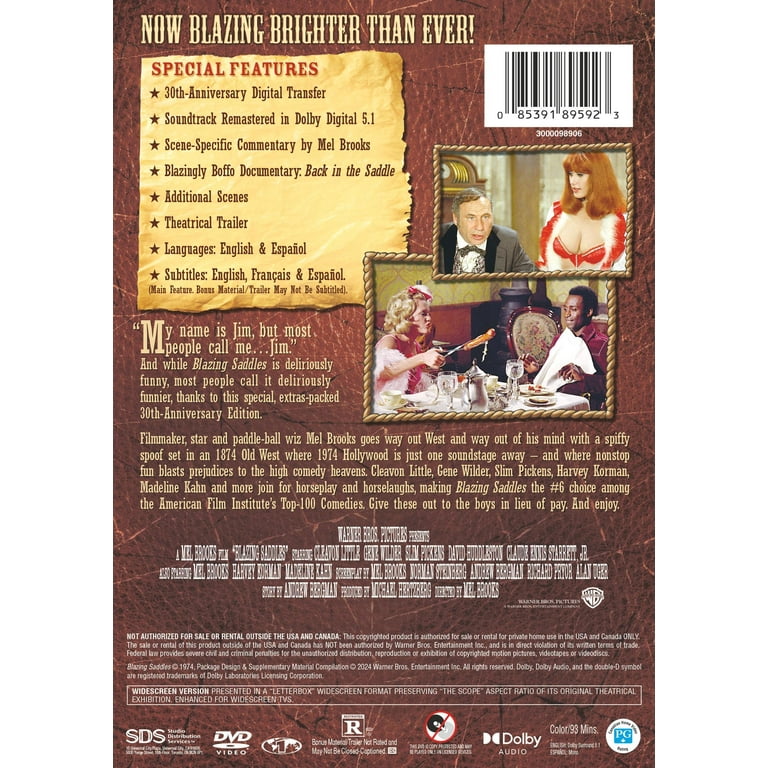 Blazing Saddles (DVD) - Walmart.com