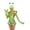 GREEN, variant on Leg Avenue Beam Me Up Babe Alien Women's Fancy-Dress Costume for Adult, M
