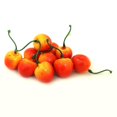 thumbnail image 2 of ALEKO Decorative Realistic Artificial Fruits Package of 20 Yellow Cherries, 2 of 3