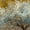 A Thousand Lifetimes, variant on Elephant Stock Spirit Of Autumn Wall Art - Horizontal Canvas Wall Art - Living Room Wall Decor - Floral And Botanical Canvas - Gray And Orange Decor By Ursula Abresch - 12" x 8"