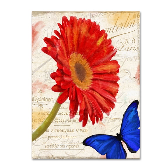 Trademark Fine Art "Gerbera Daisy" Canvas Art by Color Bakery