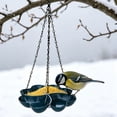thumbnail image 6 of RUIG Large Hanging Platform Bird Feeder Weatherproof Durable, Recycled Plastic Tray with Metal Mesh, Easy Clean Outdoor Feeder for Cardinals Bluebirds Wild Birds, 6 of 8