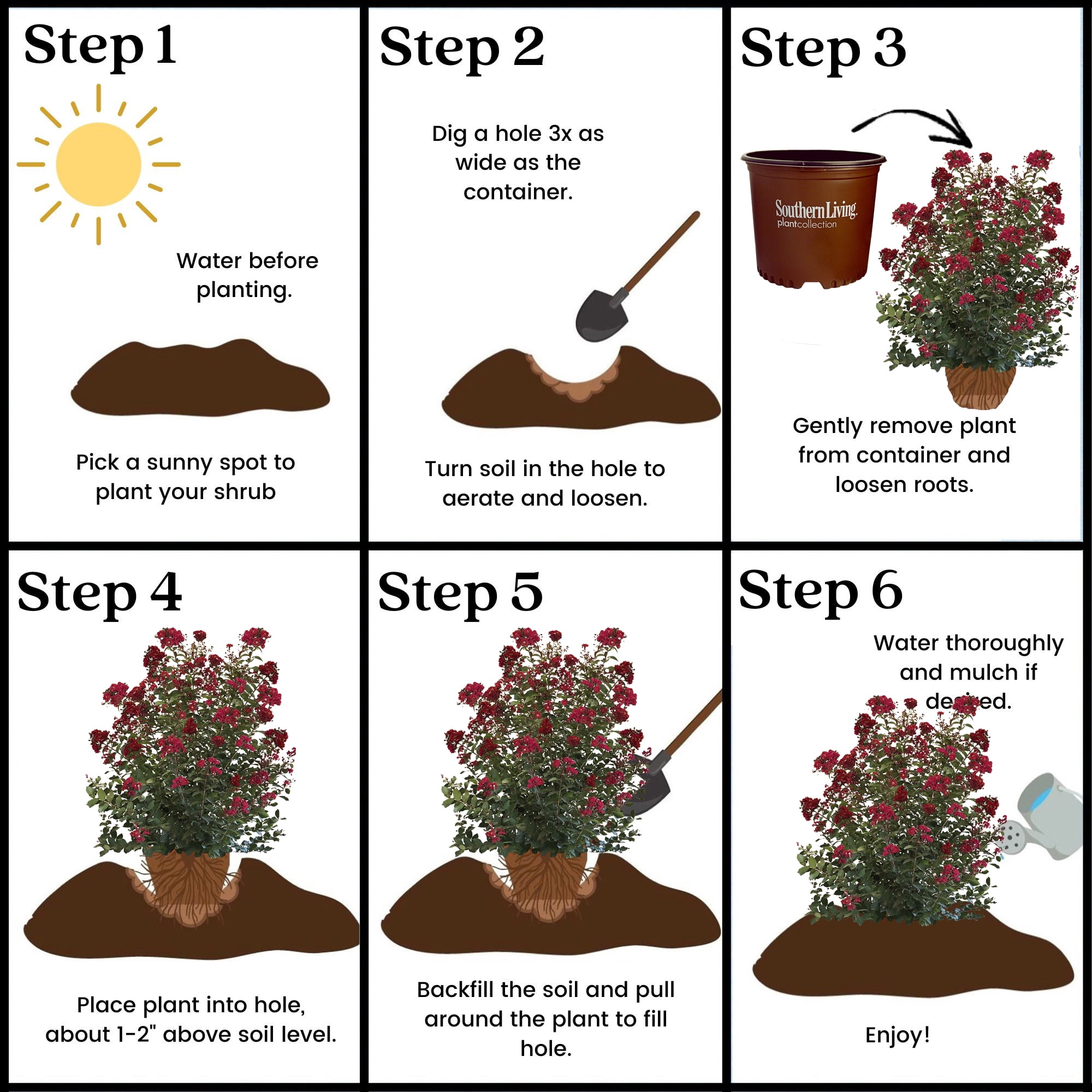 Southern Living Crape Myrtle Colorama Scarlet Live Shrub in 5-Gallon Grower