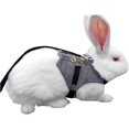 thumbnail image 1 of Conjunto de arnés y correa para conejos, ajustable, estilo formal, para pasear a pequeños animales., 1 of 5
