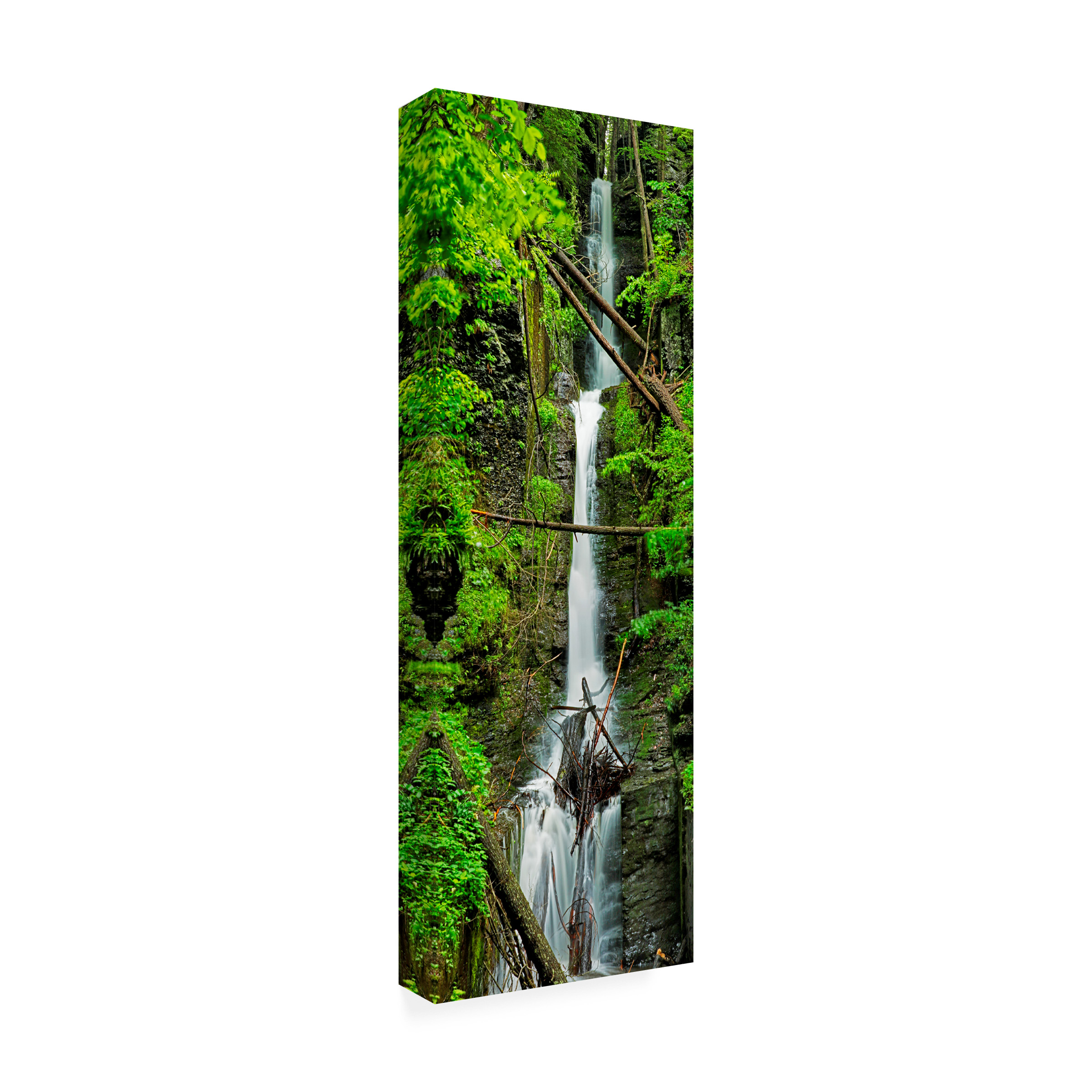 James McLoughlin 'Vertical Falls II' Canvas Art