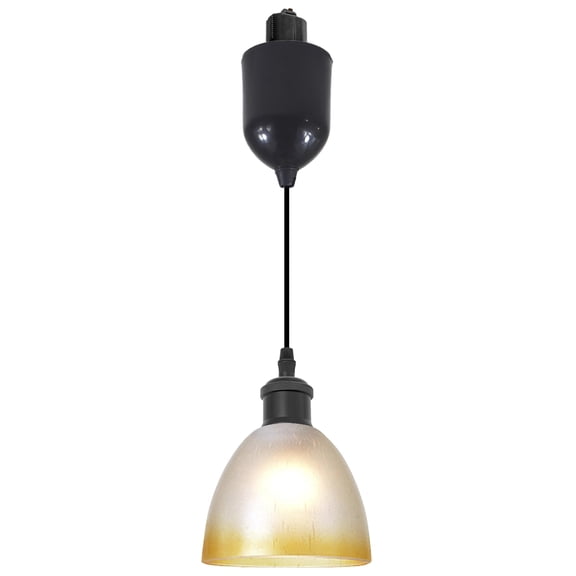 Kiven J-Type track lighting pendants Adjustable Length,Modern J track pendant lights with Glass Globe,1-Light Track Lighting Fixture for Kitchen Island Hallway Restaurant,Black Socket