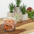 thumbnail image 5 of Mainstays Pumpkin Spice Scented 3 Wick Candle, 11.5 oz., 5 of 5