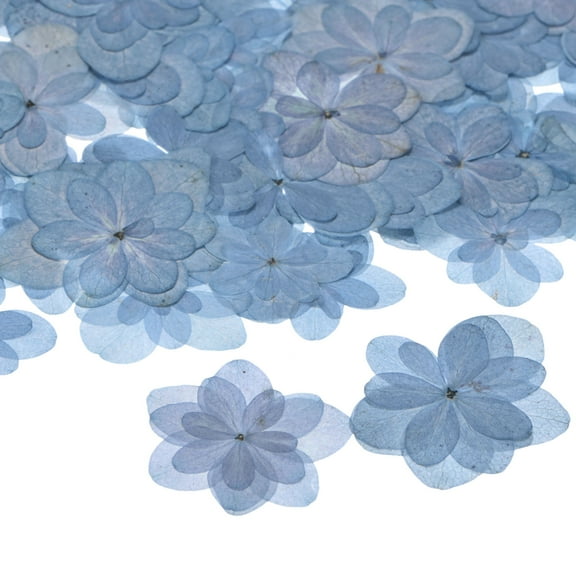 60-Pack Dried Pressed Flowers for Resin, Real Natural Bulk Dry Floral for Crafts/DIY Jewelry/Soap Making/Scrapbooking/Candle/Epoxy Resin Supplies [Blue]