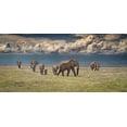 thumbnail image 2 of C. Sink, Jeffrey 24x13 Gold Ornate Wood Framed with Double Matting Museum Art Print Titled - Amboseli wonderland, 2 of 4