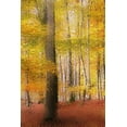 thumbnail image 2 of Kimberly, Allen 13x18 Gold Ornate Wood Framed with Double Matting Museum Art Print Titled - Golden Days, 2 of 4