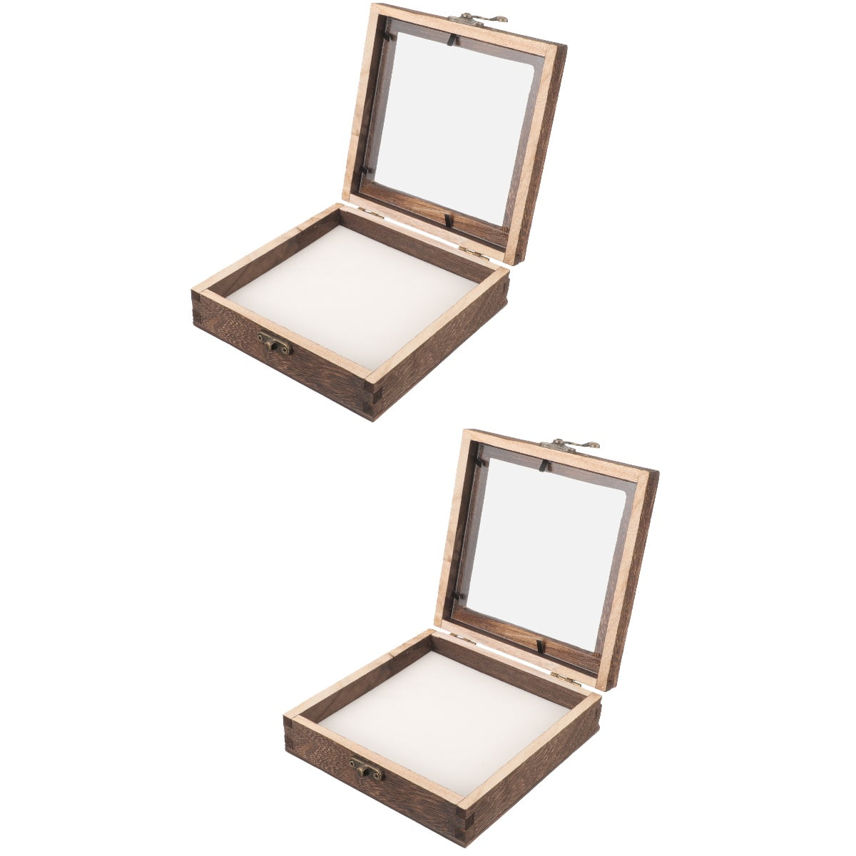 2 Sets Specimen Display Boxes with Protective Frames, Specimen Cases for Collecting and Showcasing Samples