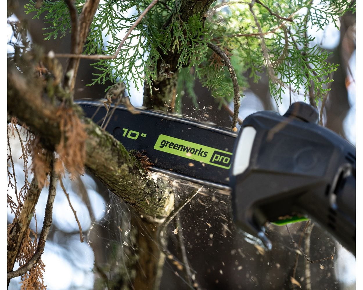 Greenworks pole 2024 hedge trimmer 60v