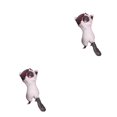 thumbnail image 2 of Destyer Support de Cellulaire Chat Mignon 1/2/3/5 Tablettes Bureau Voiture Support Universel No.06 2 Pcs, 2 of 6