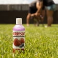 thumbnail image 3 of Jeffers Moisturizing Pet Shampoo, Berry Soft Scent, 17 oz - Coconut Based, Detergent Free & Soap Free, pH Balanced, with Vitamins A D E, for Dogs Cats Ferrets Rabbits, Made in the USA, Healthy Coat, 3 of 4