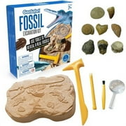 1 PK,GeoSafari Fossil Excavation Kit (5340)