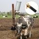 thumbnail image 2 of Válvula de tazón de agua potable automática válvula de tazón de agua válvula automática para reemplazo válvula de agua de reemplazo válvula avícola válvula de agua, 2 of 7