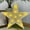 A710 christmas decorations under 5$, variant on Star Sign Night Light under $5! kkbbma LED Marquee Star Sign Night Light, Battery Operated Star Shaped Desk Table Lamp for Gift, Nursery Room, Wall Decor