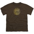 thumbnail image 2 of Sun Sun University Distressed S/S Youth 18/1 T-Shirt Coffee, 2 of 2