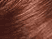 Medium Copper Brown