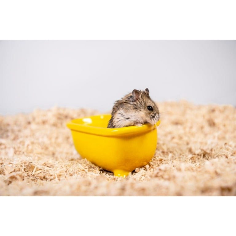Aspen wood shavings for hamsters top
