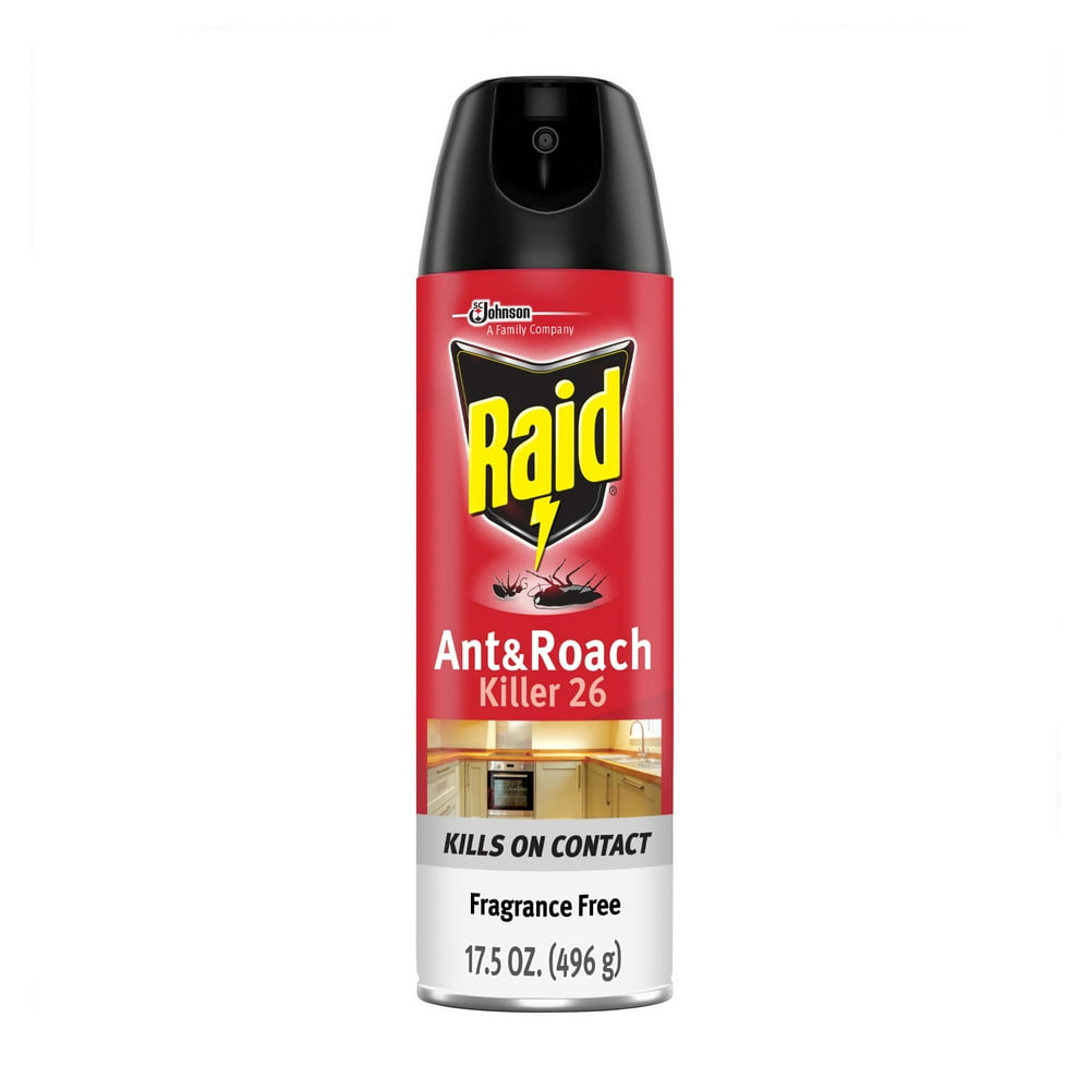 Raid Ant & Roach Killer 26, Fragrance Free, 17.5 oz
