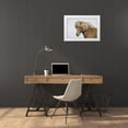 thumbnail image 3 of Morris, Arthur 18x13 White Modern Wood Framed Museum Art Print Titled - Iceland Portrait of an Icelandic horse, 3 of 4
