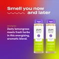 thumbnail image 3 of Zum Body Soap - Lemongrass - 16 fl oz (2 Pack), 3 of 7