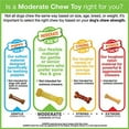 thumbnail image 2 of Nylabone FlexiChew à Mâcher Modéré, Pack de Deux Jouets à Mâcher pour Chien, Mini, 2 of 10