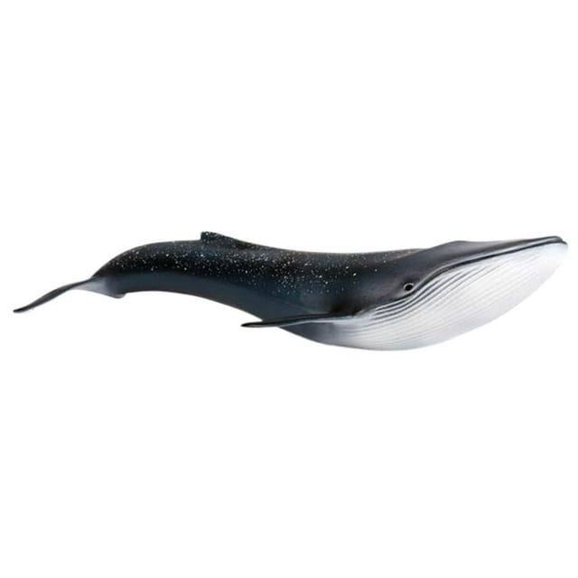 ZheElen Marine Kids And Shark Educational Toy Models Lifelike Toy Model Shark blue whale