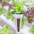 thumbnail image 1 of Sembradora De Cultivo Sin Suelo Kit de inicio de semillas de plantas de 30/50 Uds., suministros de jardín de cultivo sin suelo de repuesto Likrtyny Para estrenar, 1 of 7